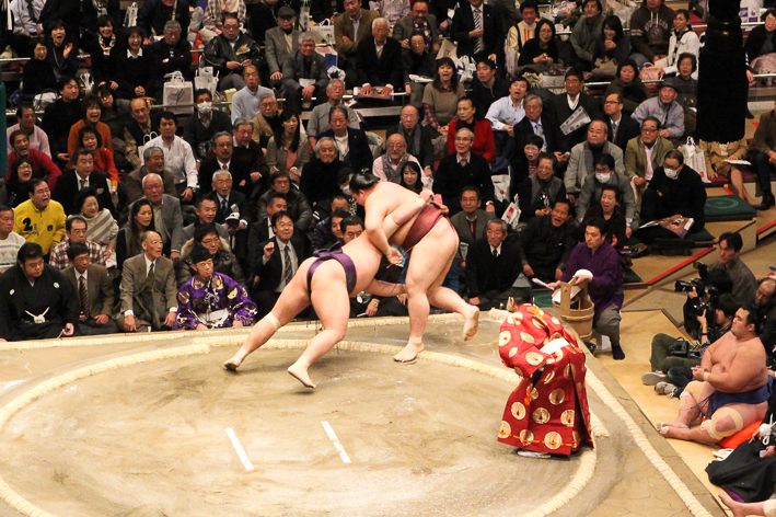 Chanko en sumo-3