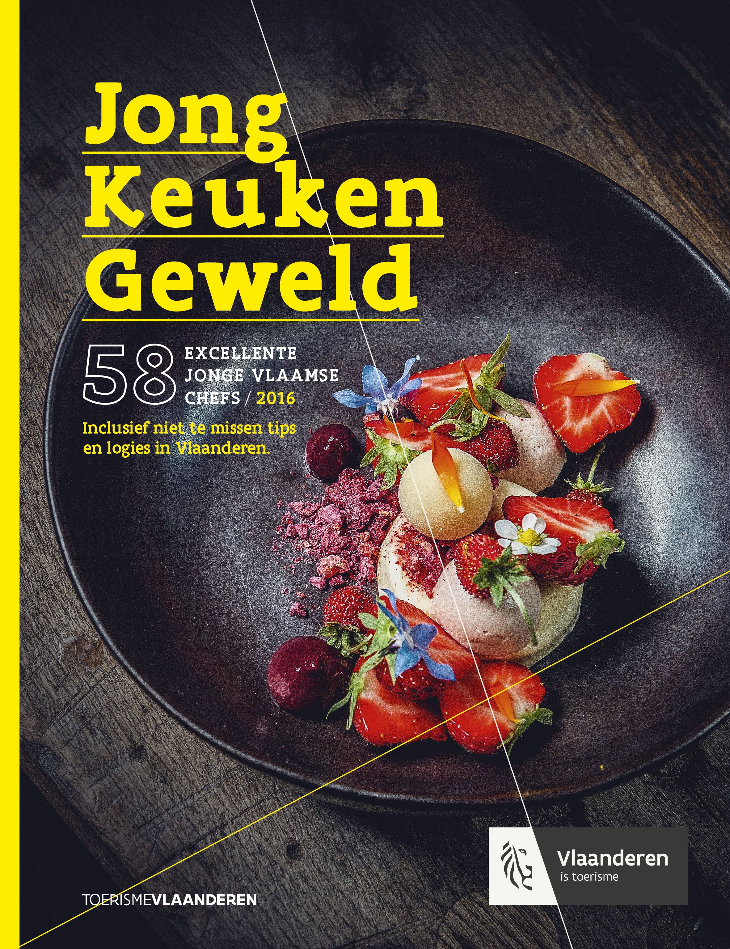 Jong keukengeweld_2015_NL_COVER